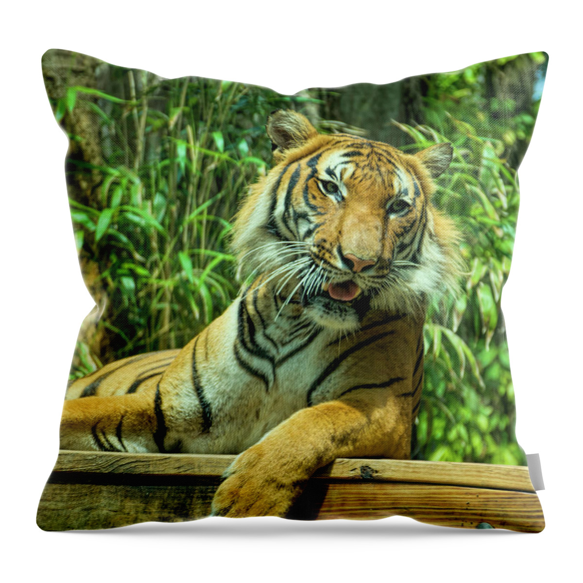 Tiger Throw Pillow featuring the photograph Reclining Tiger by Artful Imagery