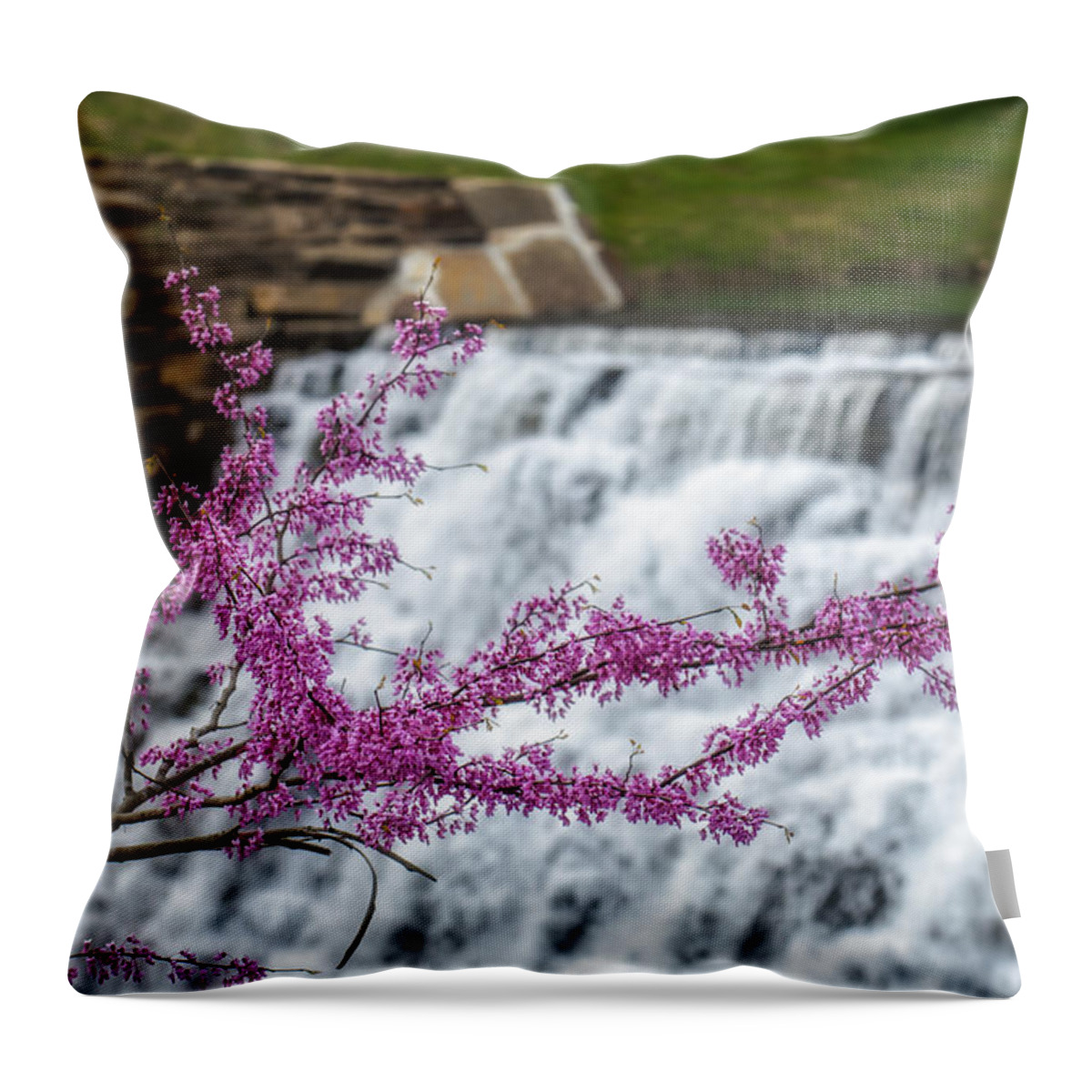 Cercis Canadensi Throw Pillow featuring the photograph RedBud at Devils Den by James Barber
