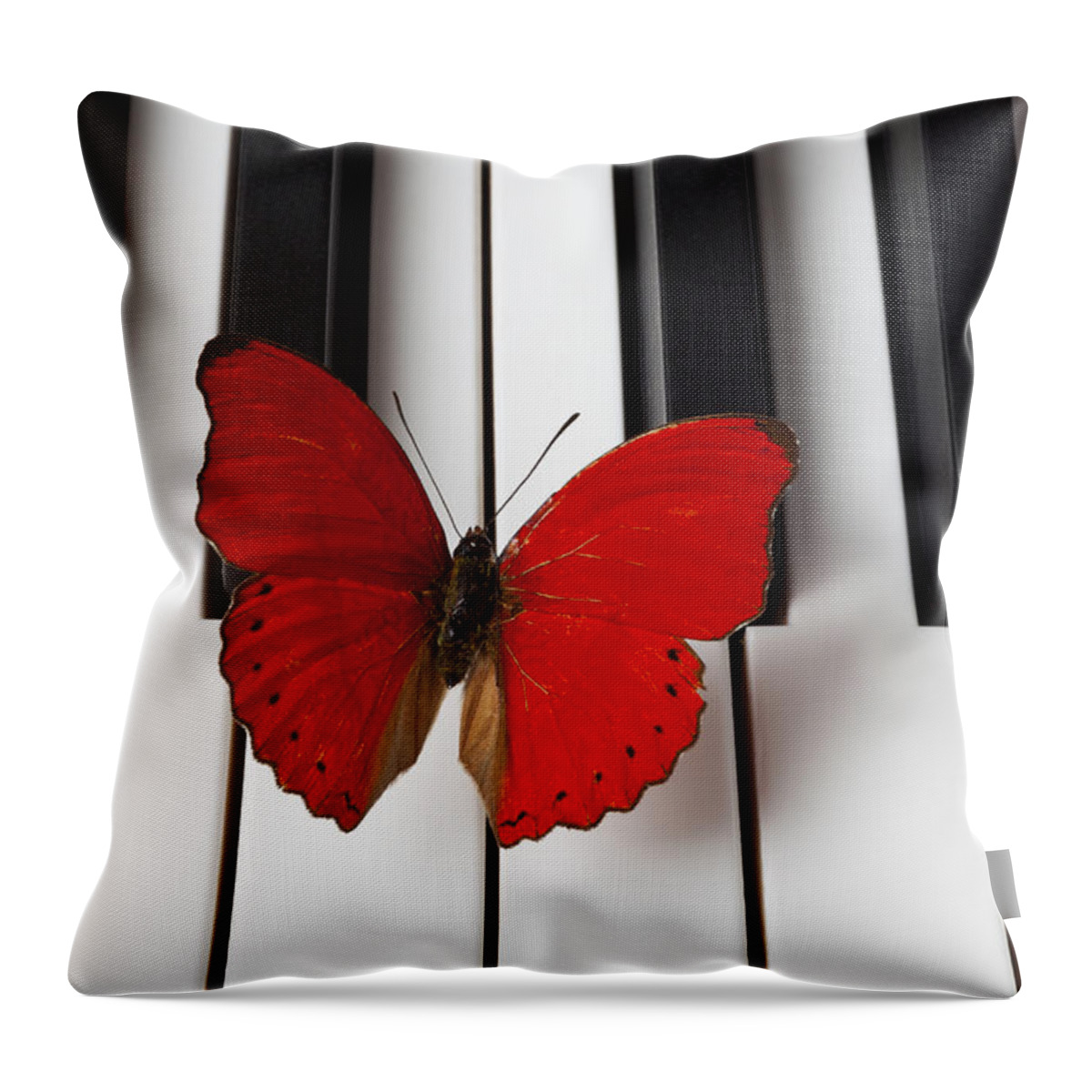 Red Butterfly Throw Pillow featuring the photograph Red Butterfly On Piano Keys by Garry Gay