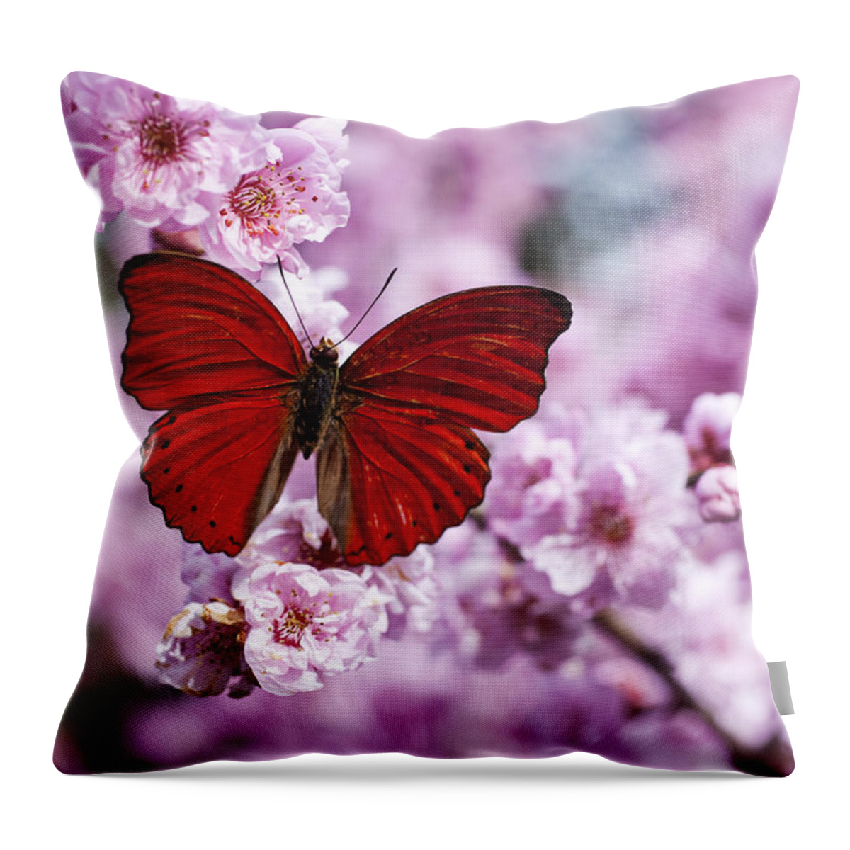 Red Throw Pillow featuring the photograph Red butterfly on plum blossom branch by Garry Gay