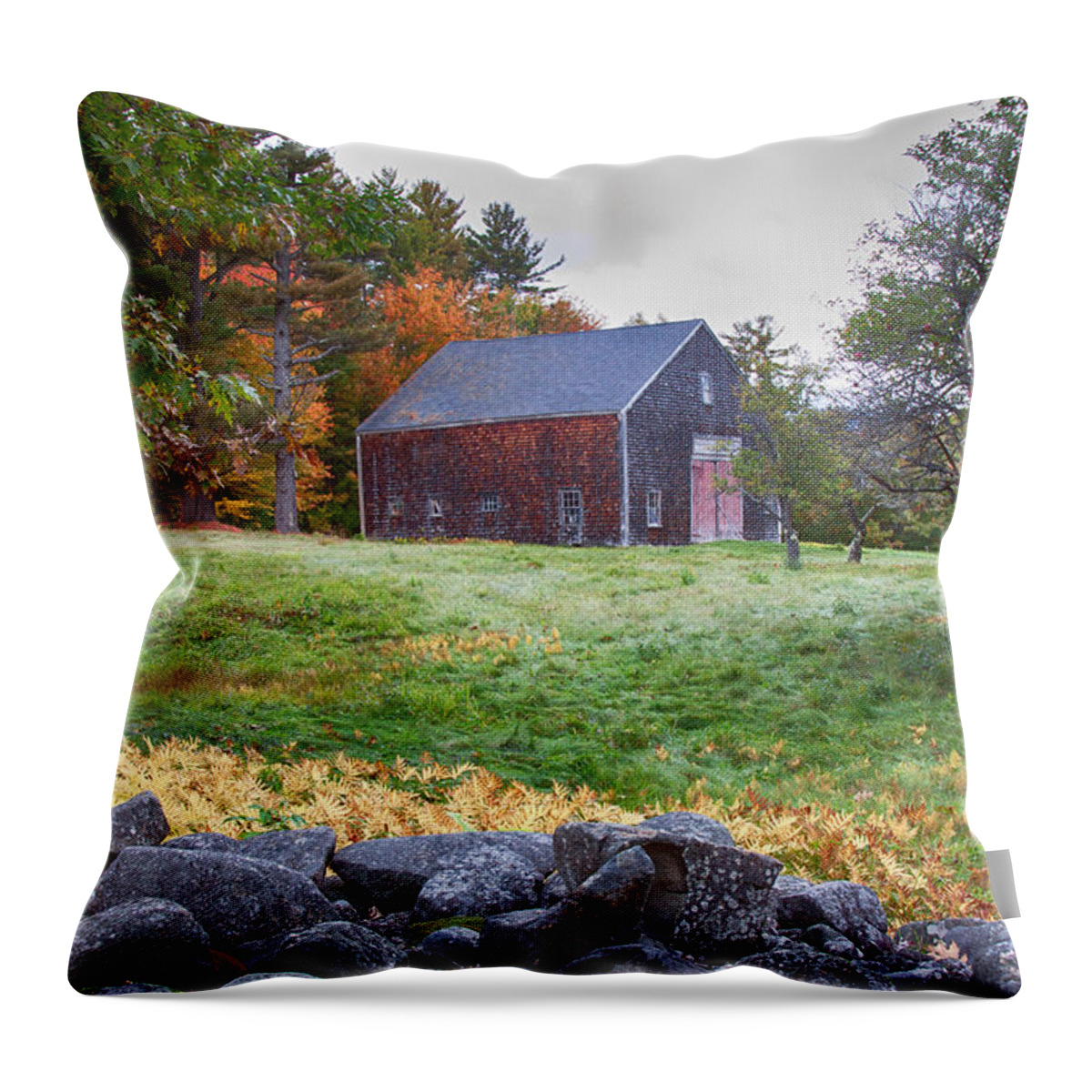Chocorua Fall Colors Throw Pillow featuring the photograph Red door barn by Jeff Folger