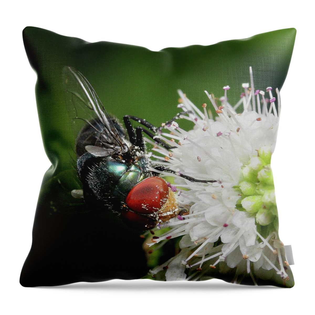Flies Throw Pillow featuring the digital art Red eyes 999 by Kevin Chippindall