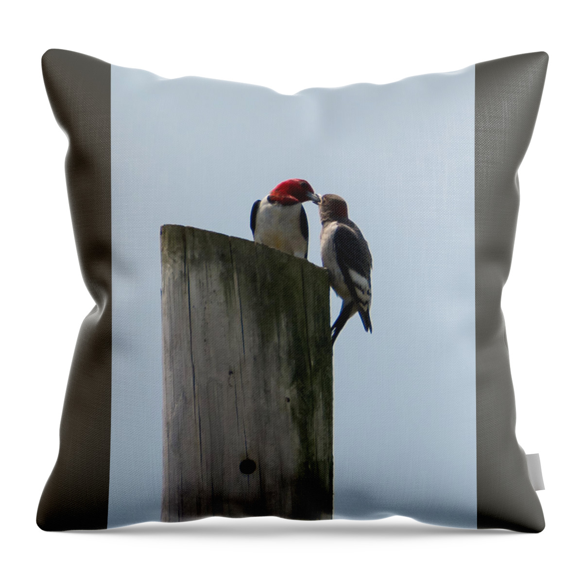 Red Headed Woodpeckers Throw Pillow featuring the photograph Red Headed Woodpeckers by Holden The Moment