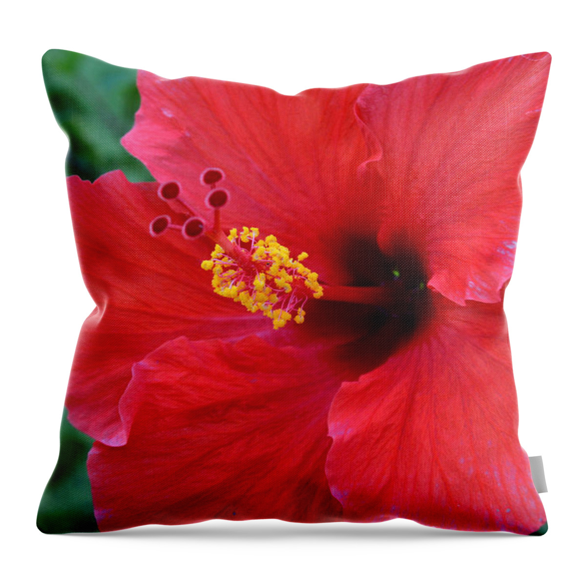 Flower Throw Pillow featuring the photograph Red Hibiscus 1 by Amy Fose
