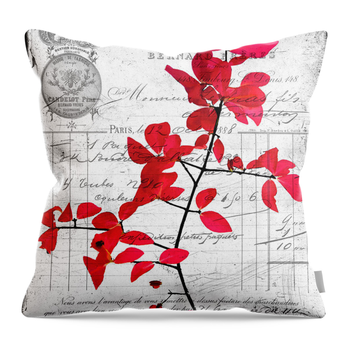 Black Throw Pillow featuring the photograph Red Leaves by Cathy Kovarik