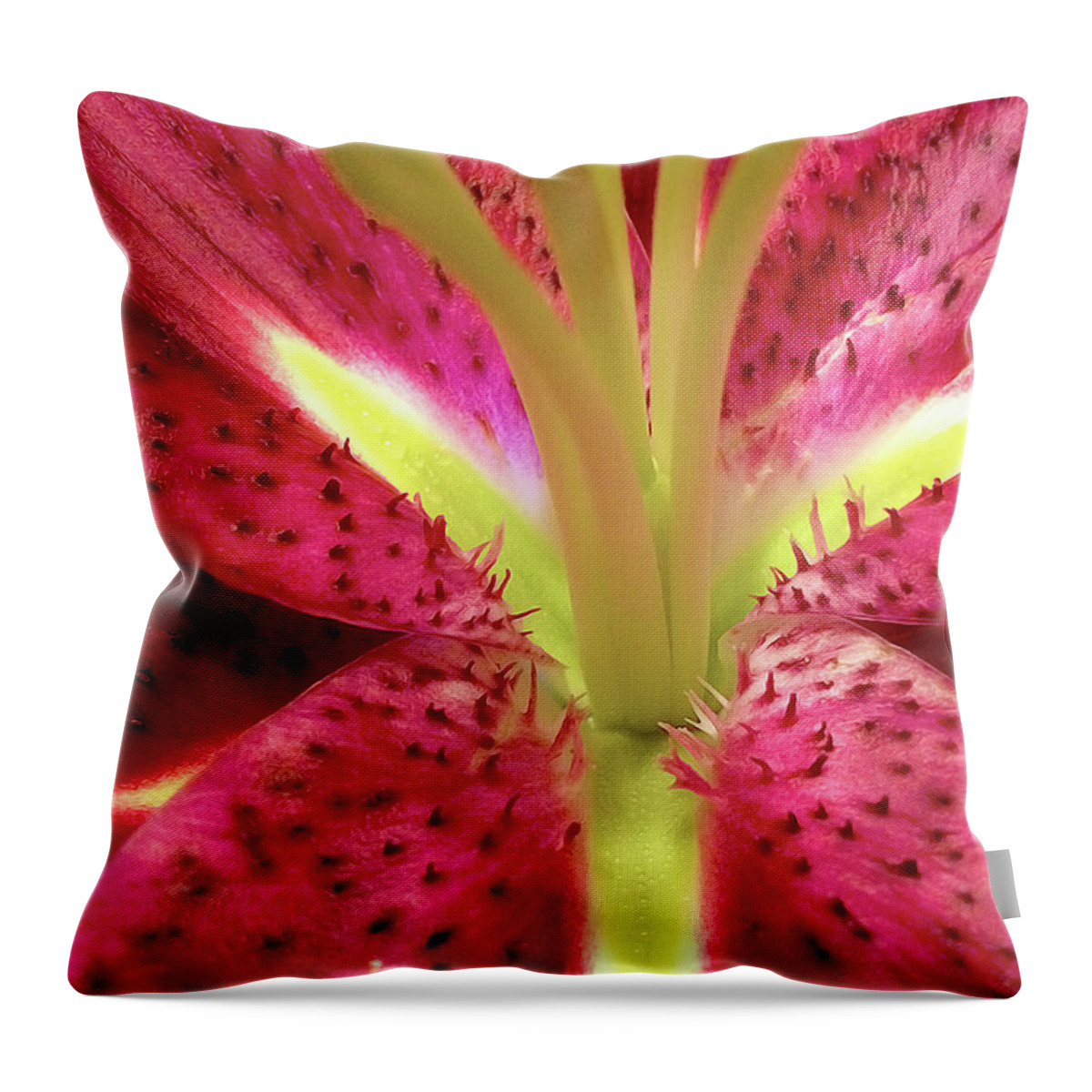 Nature Throw Pillow featuring the photograph Red Lily Closeup by Linda Carruth