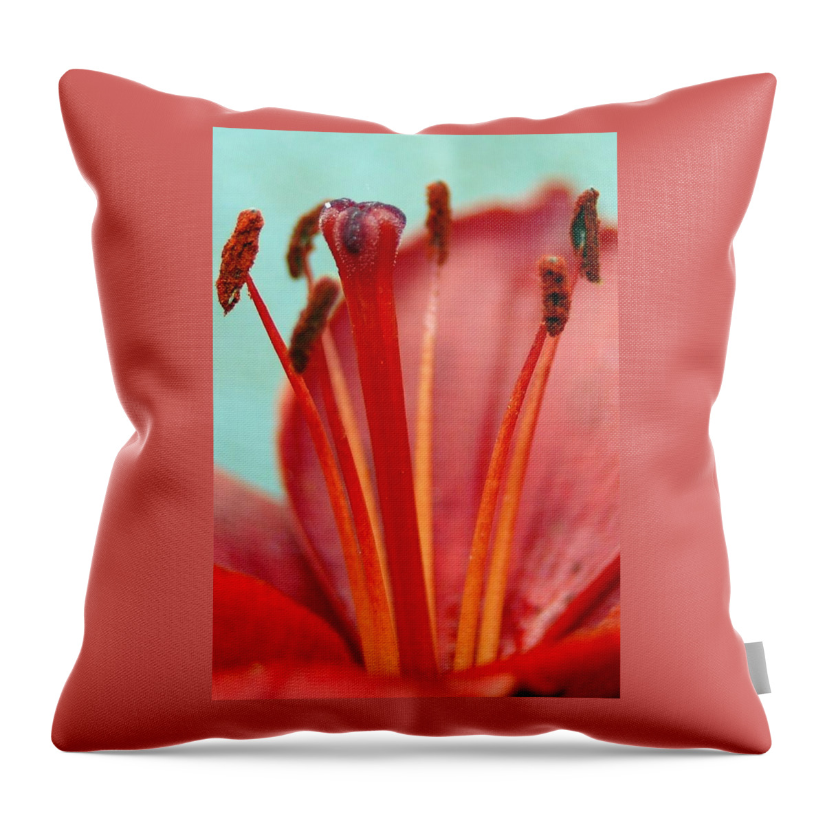 Flower Throw Pillow featuring the photograph Red Lily Reach by Amy Fose