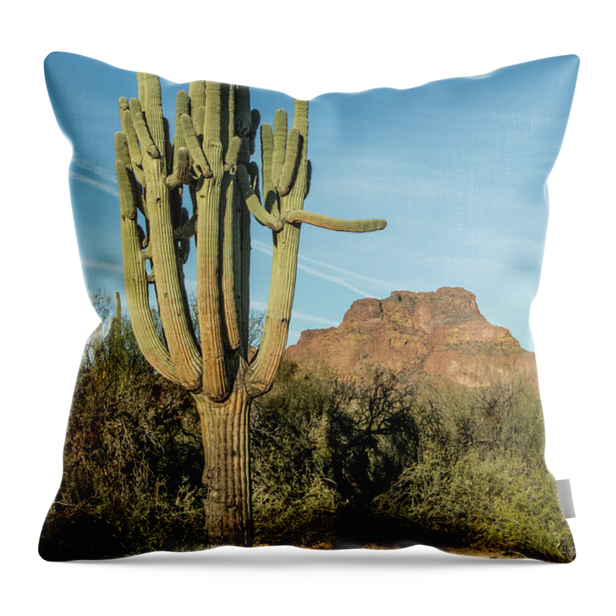 Red Throw Pillow featuring the photograph Red Mountain and Saguaro Shadow 2439-032118-cr by Tam Ryan