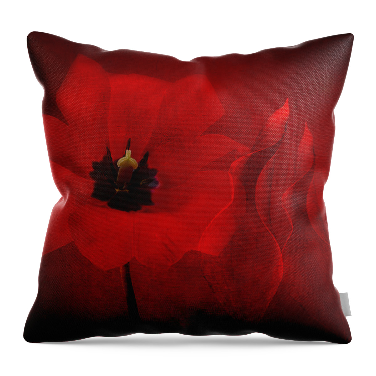 Red Tulip Throw Pillow featuring the photograph Red Musical by Marina Kojukhova