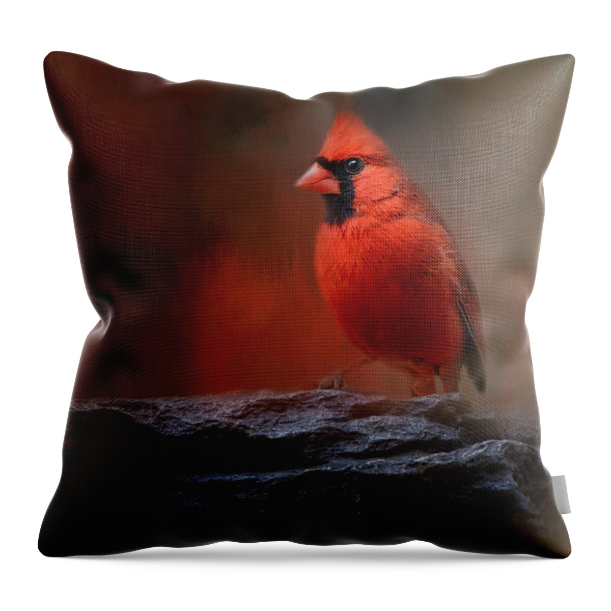 Jai Johnson Throw Pillow featuring the photograph Red On The Rocks - Cardinal Bird Art by Jai Johnson