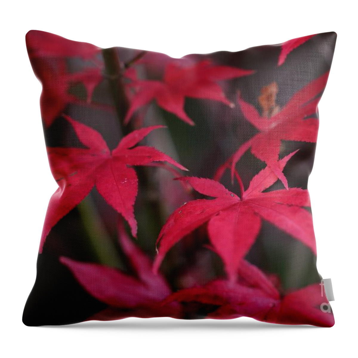 Red Throw Pillow featuring the photograph Red palms by Yumi Johnson