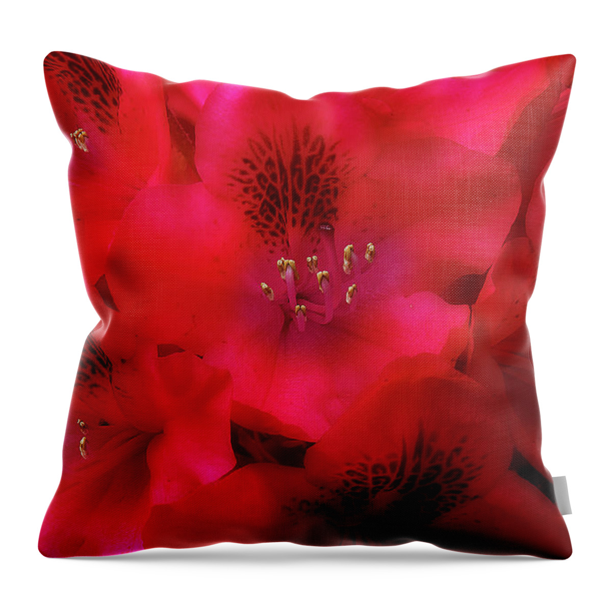 Flowers Throw Pillow featuring the photograph Red Petals by Mike Eingle