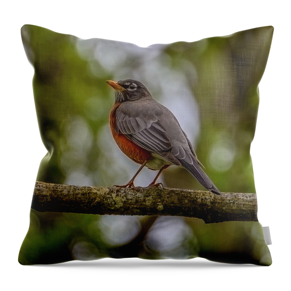 Robin Throw Pillow featuring the photograph Red robin by Jerry Cahill