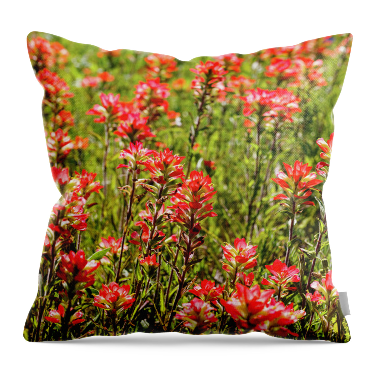 Austin Throw Pillow featuring the photograph Red Texas Wildflowers by Raul Rodriguez