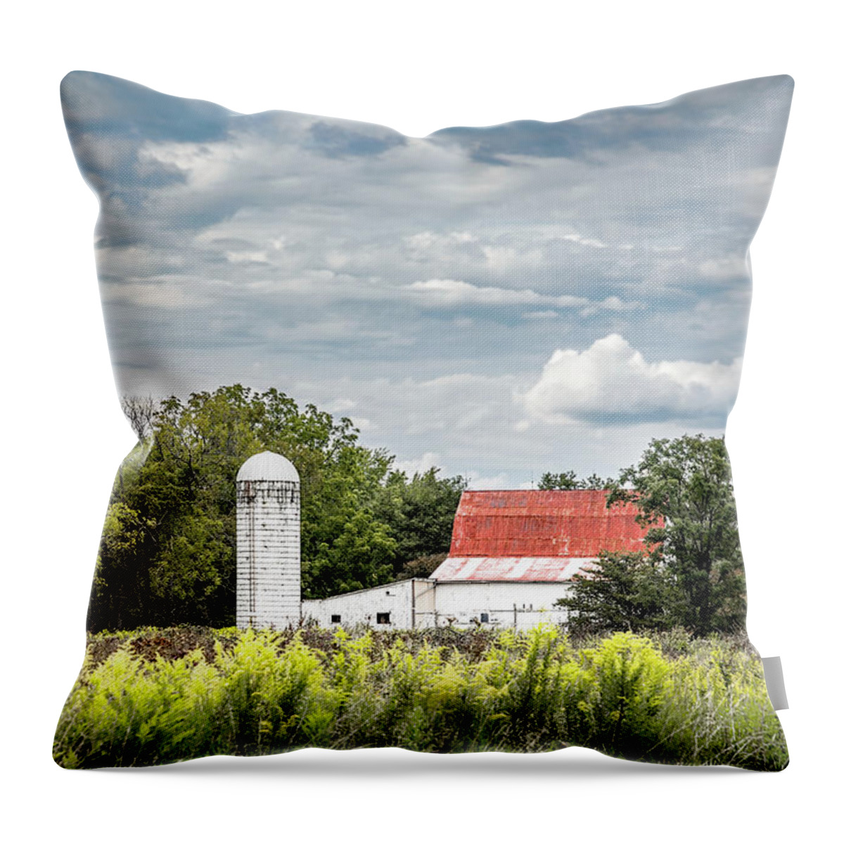 Rusted Throw Pillow featuring the photograph Red Tin Roof by Tom Mc Nemar