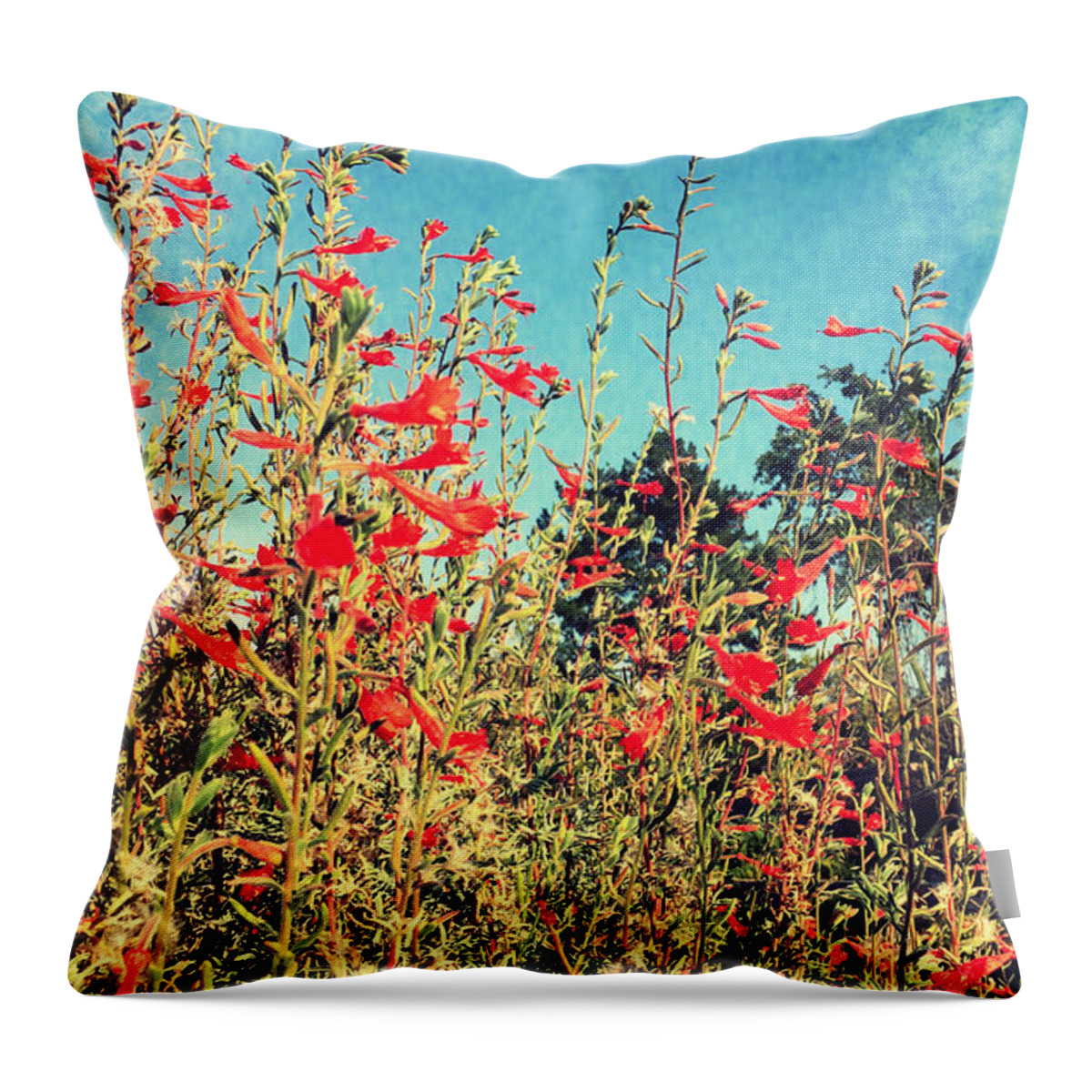 Flower Throw Pillow featuring the photograph Red Trumpets Playing by Brad Hodges