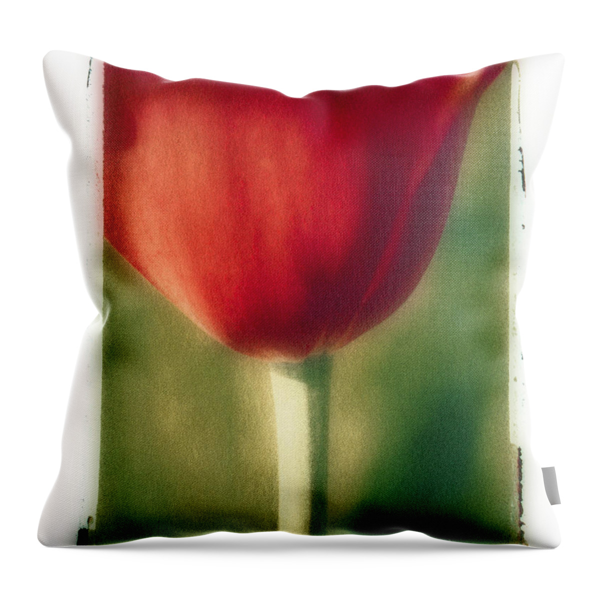 Spring Throw Pillow featuring the photograph Red Tulip by Joye Ardyn Durham