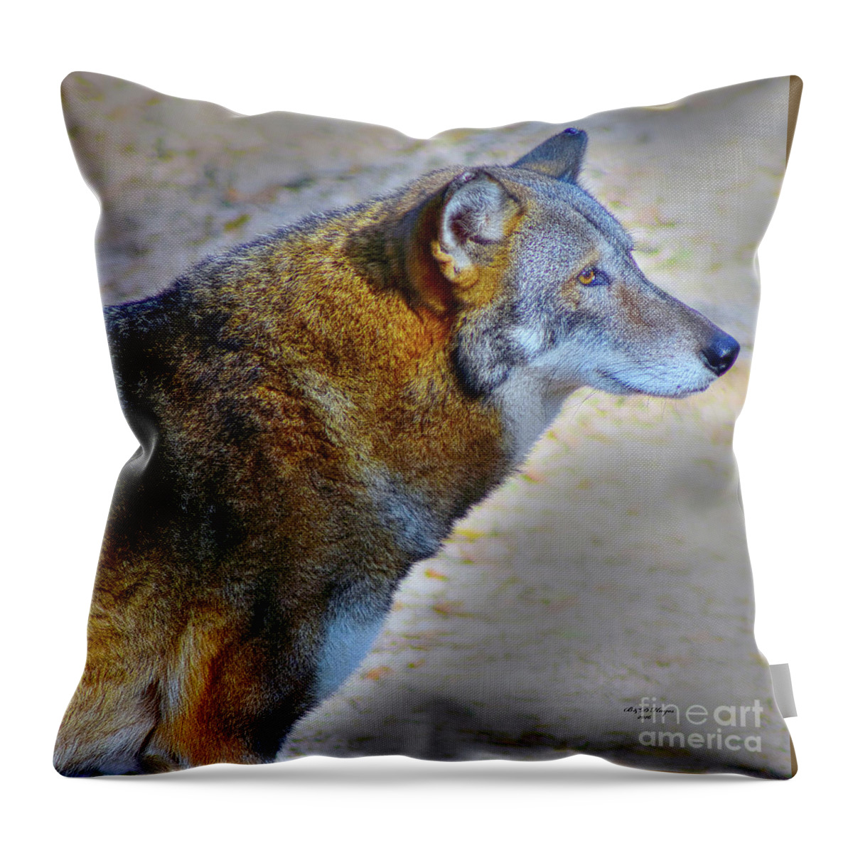 Nature Throw Pillow featuring the photograph Red Wolf Standing by DB Hayes