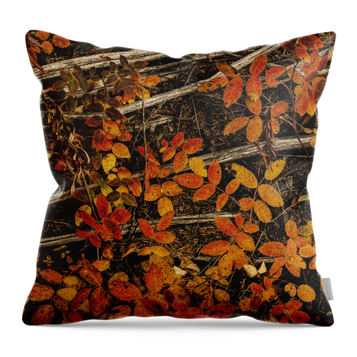 Wildflower Throw Pillow featuring the photograph Red, yellow rose leaves by Fred Denner
