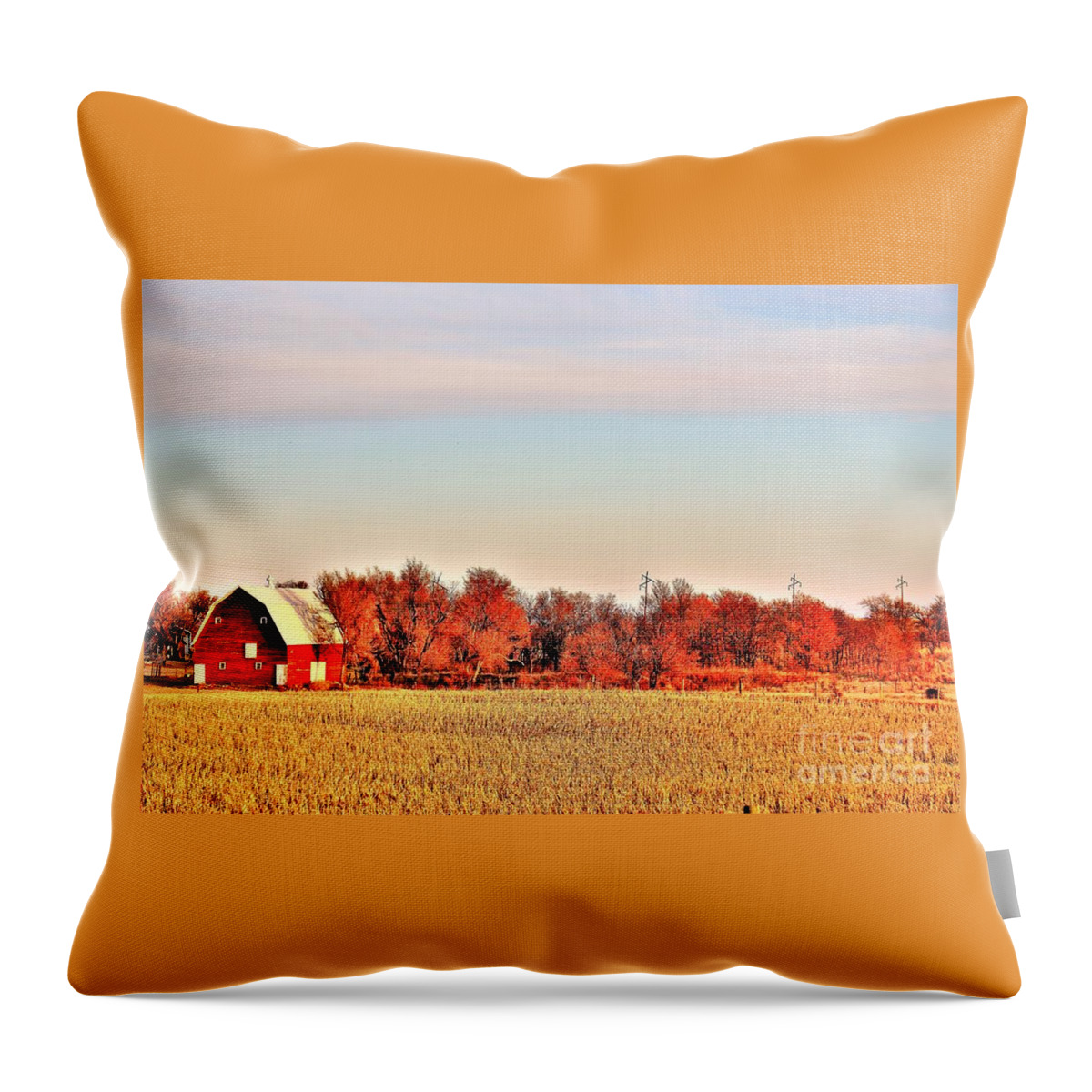 Barn Throw Pillow featuring the photograph Reds and Oranges by Merle Grenz