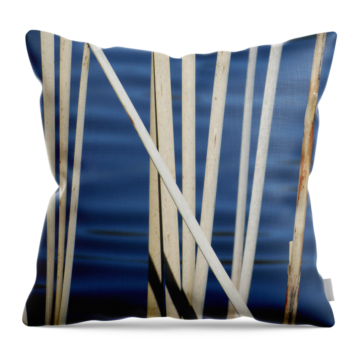 Water Throw Pillow featuring the photograph Reeds by Azthet Photography