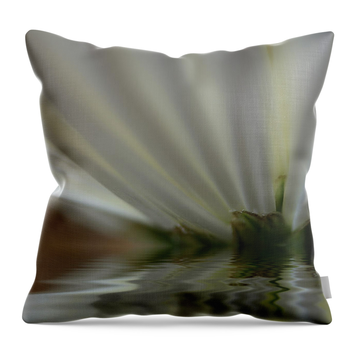 Reflection Throw Pillow featuring the photograph Reflecting by Bob Cournoyer