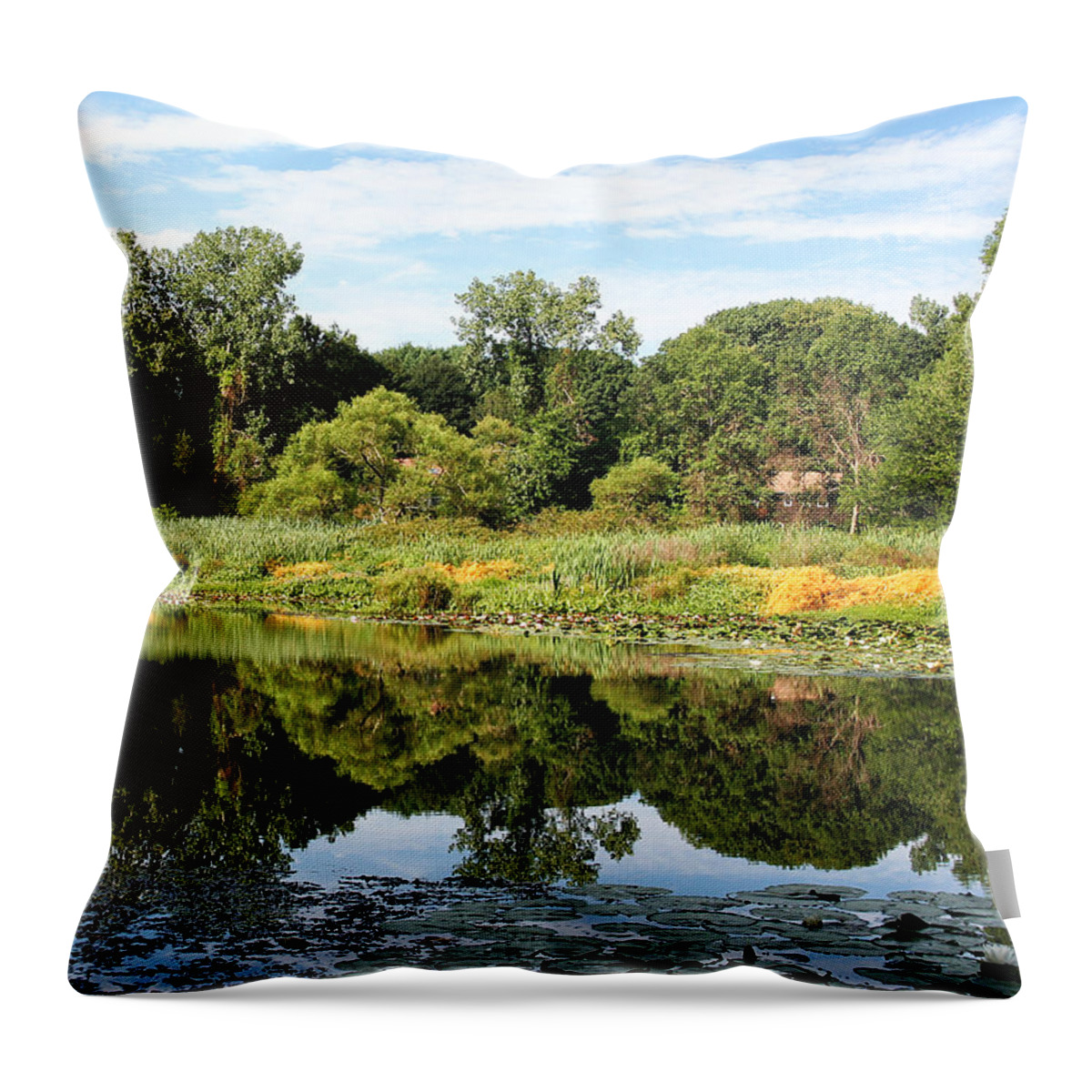 Summer Throw Pillow featuring the photograph Reflecting on a Summer Morning by William Selander