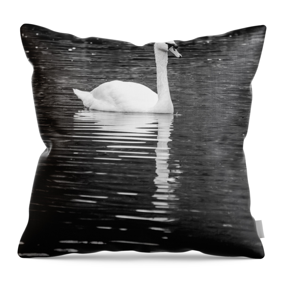Lake Throw Pillow featuring the photograph Reflection of a white swan 2 by AM FineArtPrints