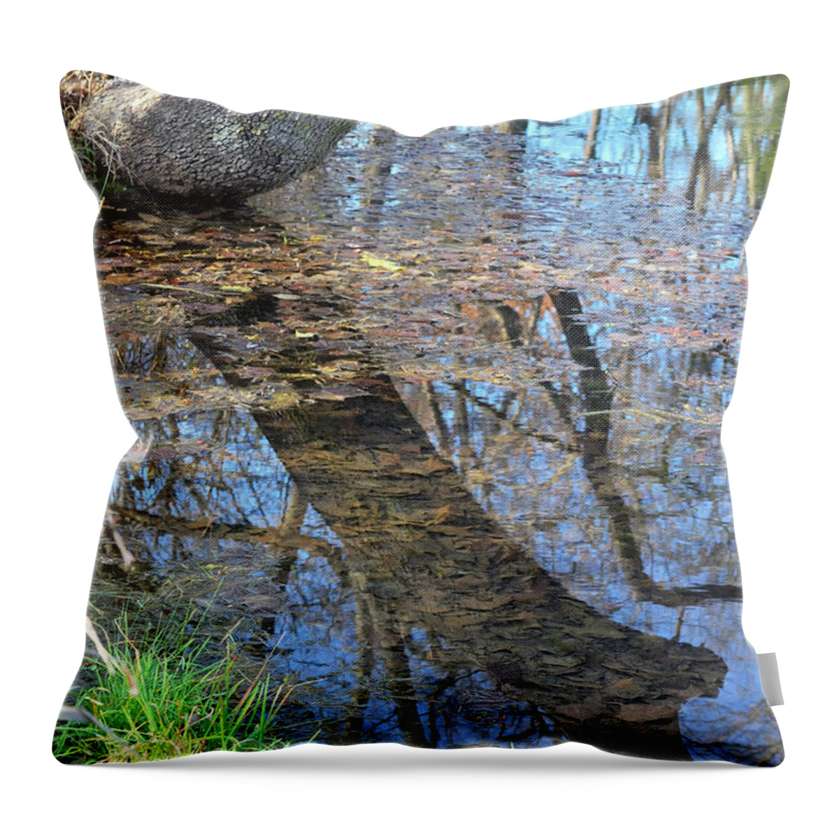 Pond Throw Pillow featuring the photograph Reflections I by Ron Cline