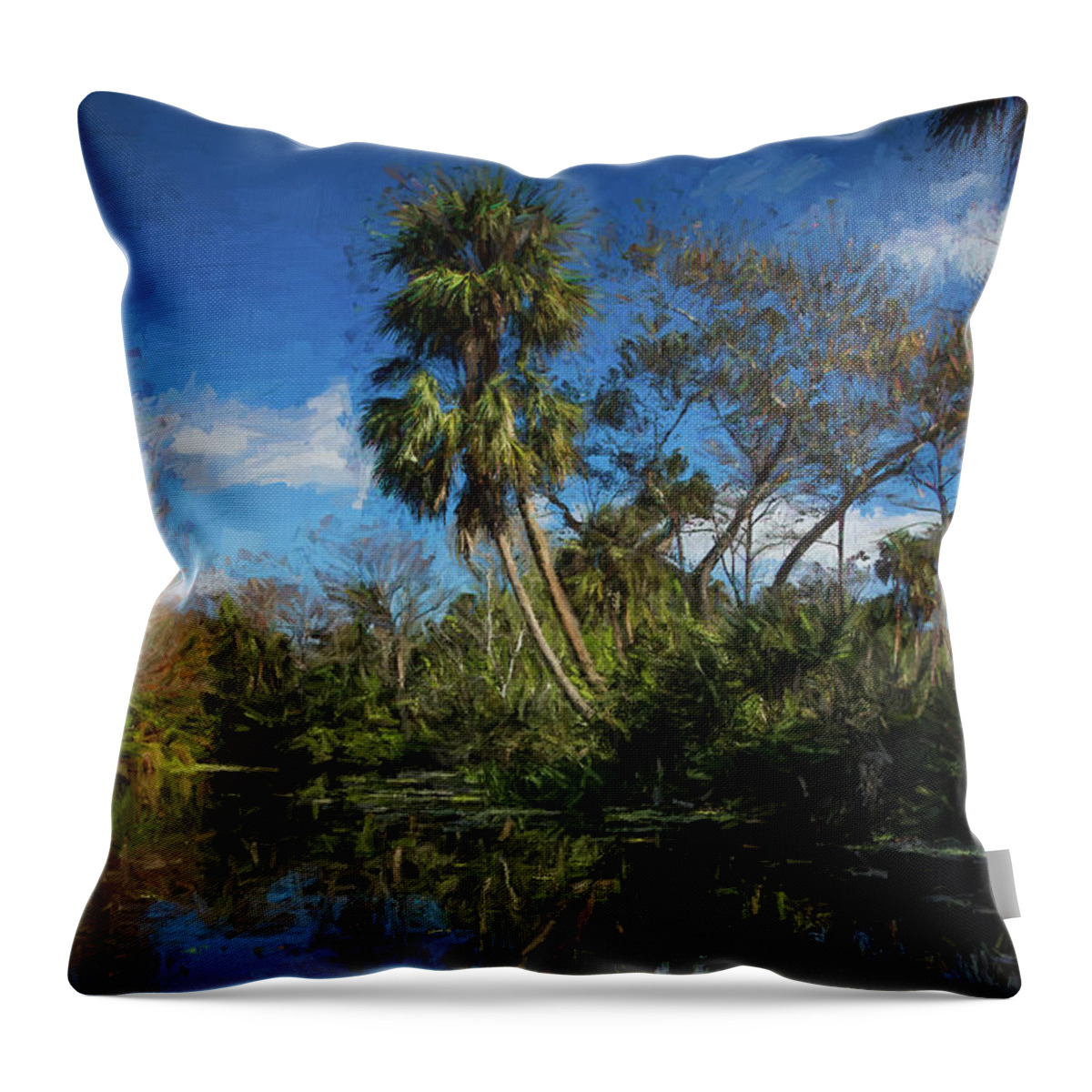 Clouds Throw Pillow featuring the photograph Reflections in the Tropics Oil Painting by Debra and Dave Vanderlaan