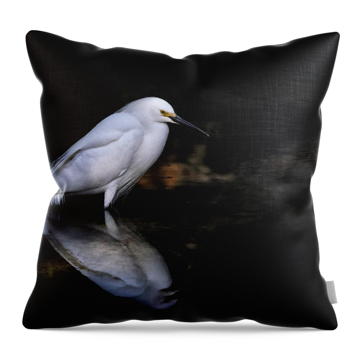 Crystal Yingling Throw Pillow featuring the photograph Reflections Of......... by Ghostwinds Photography