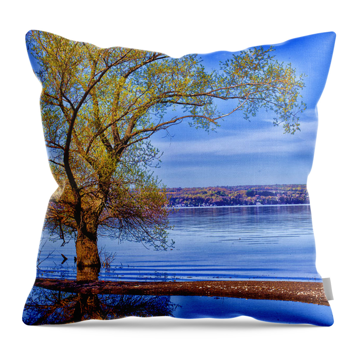 Lake Throw Pillow featuring the photograph Reflections of Spring by Monroe Payne