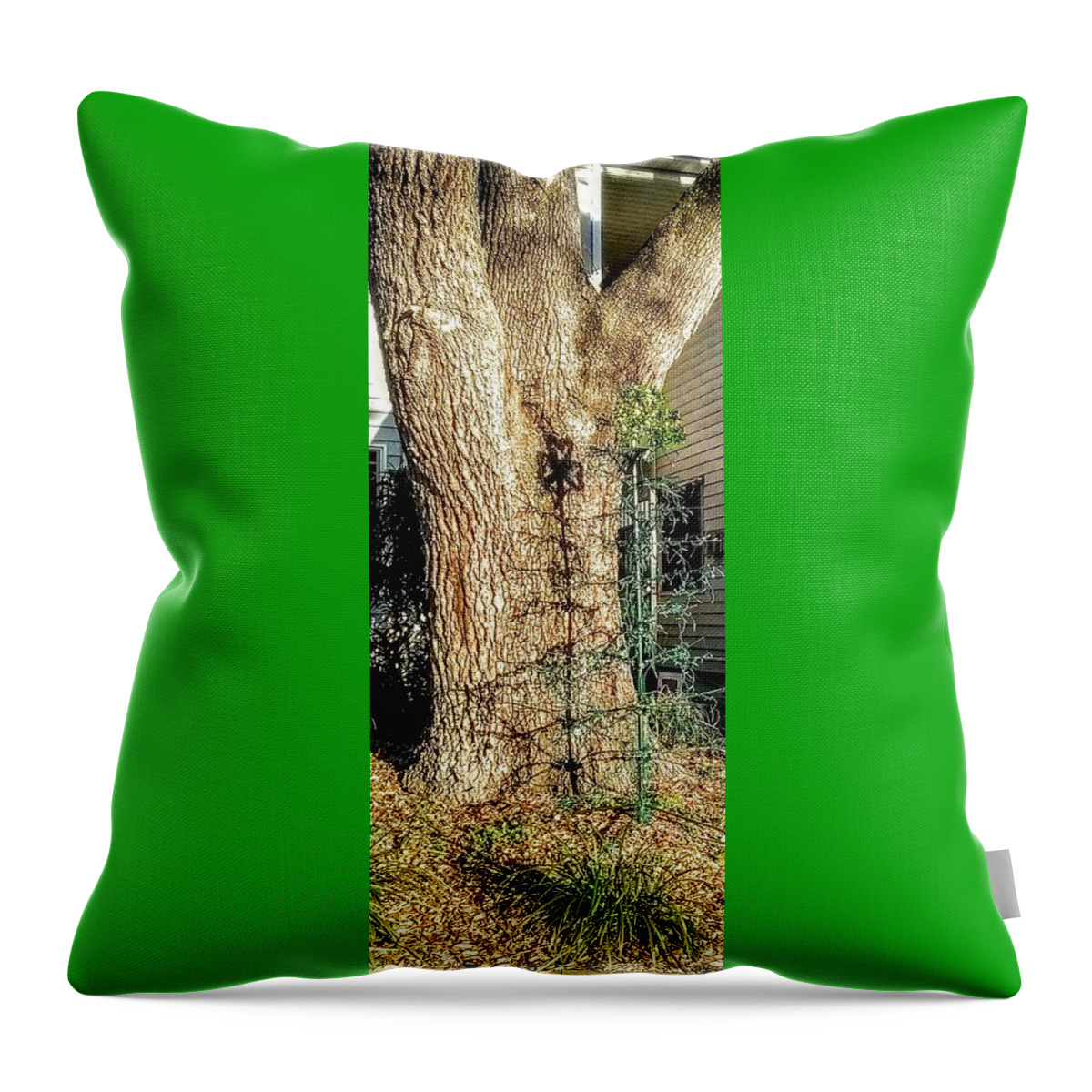 Shamrock Throw Pillow featuring the photograph Reflections by Suzanne Berthier