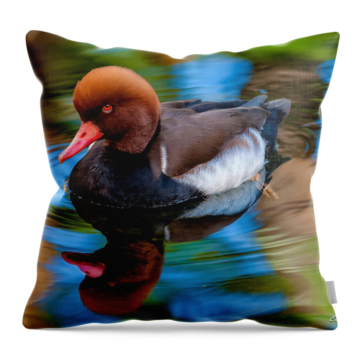 Bird Throw Pillow featuring the photograph Resting In Pool Of Colors by Christopher Holmes