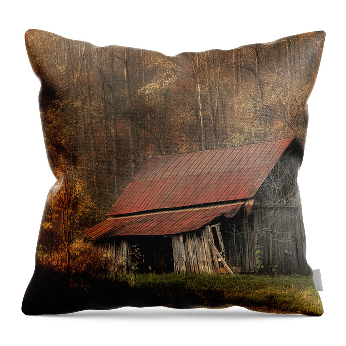 Barn Throw Pillow featuring the photograph Resting Place by Mike Eingle