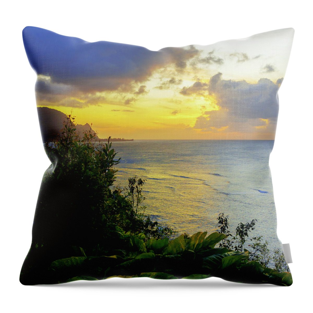 Beach Throw Pillow featuring the photograph Return by Chad Dutson