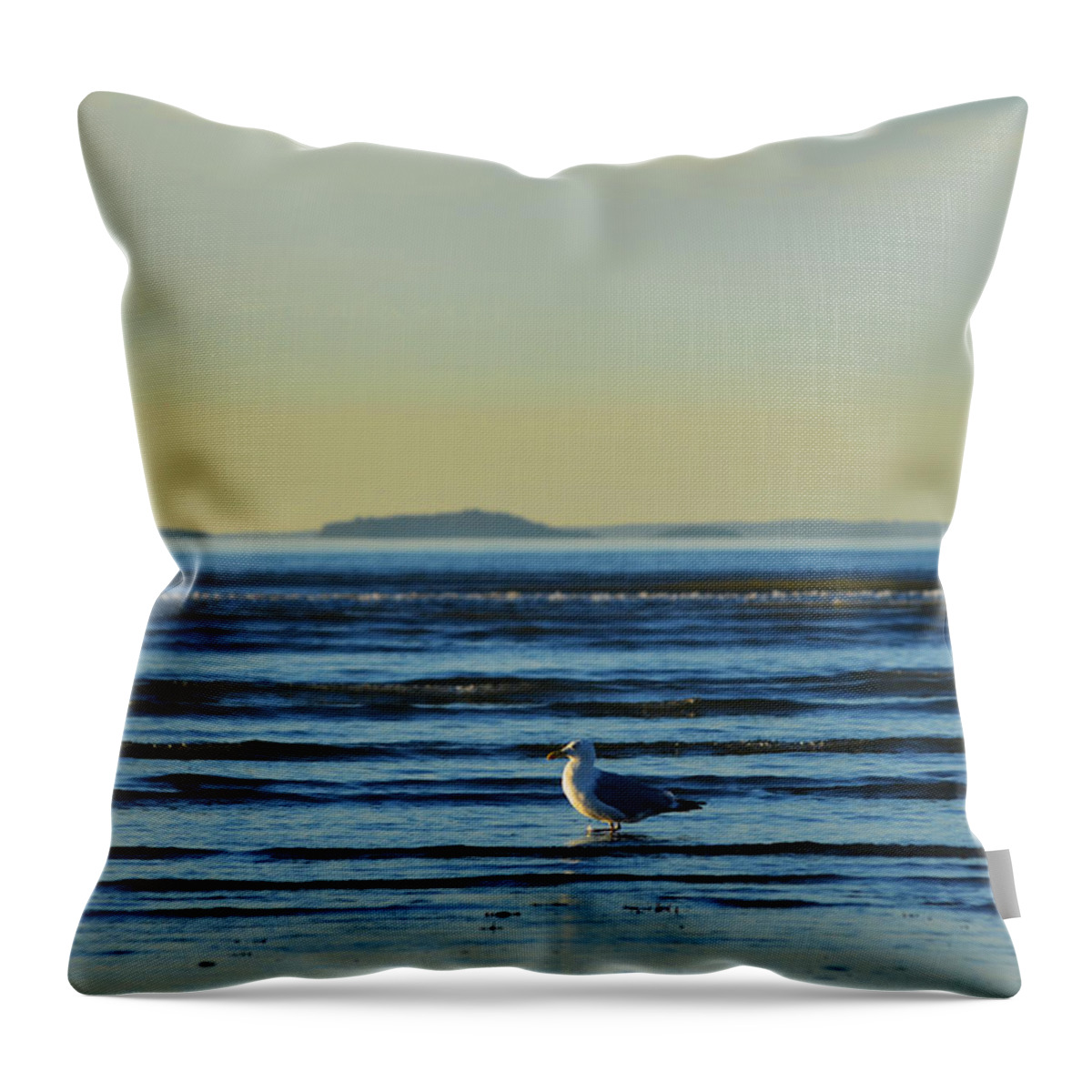 Revere Throw Pillow featuring the photograph Revere Beach Seagull Revere MA by Toby McGuire