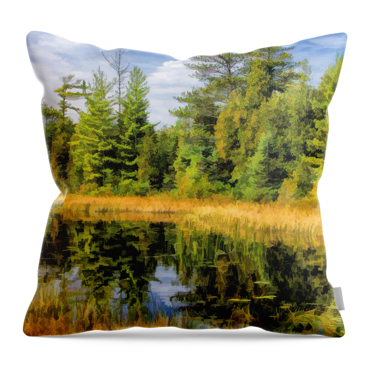 Door County Throw Pillow featuring the painting Ridges Sanctuary Reflections by Christopher Arndt