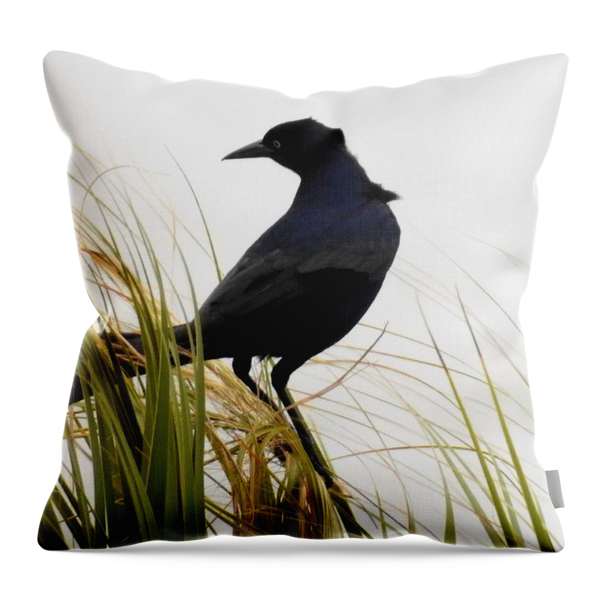 Birds Throw Pillow featuring the photograph Riding The Wind by Jan Gelders