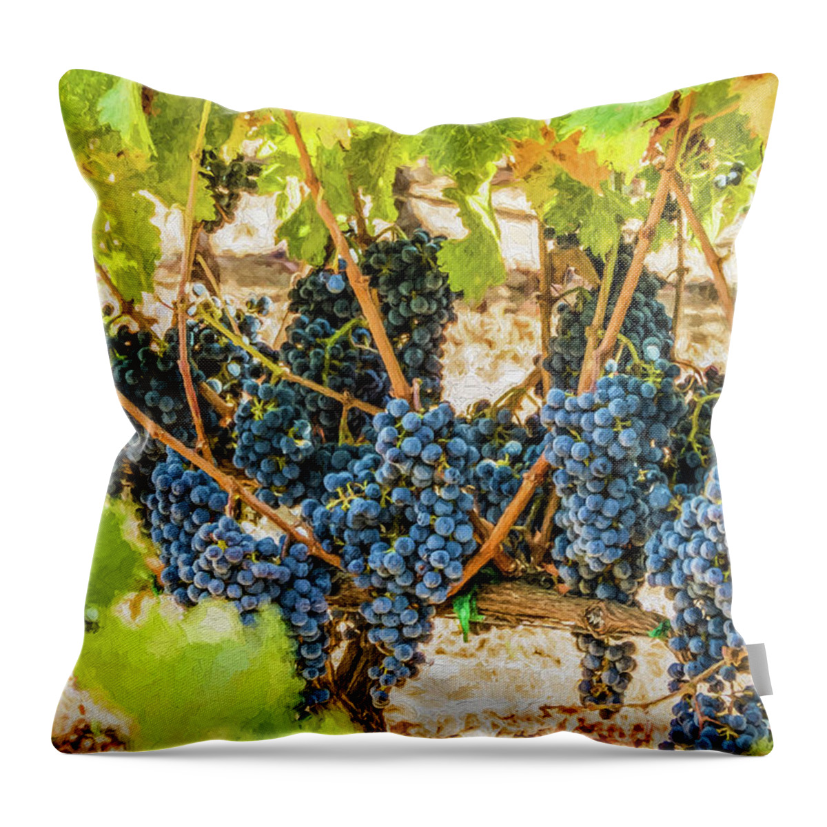 California Throw Pillow featuring the photograph Ripe Grapes on Vine by David Letts
