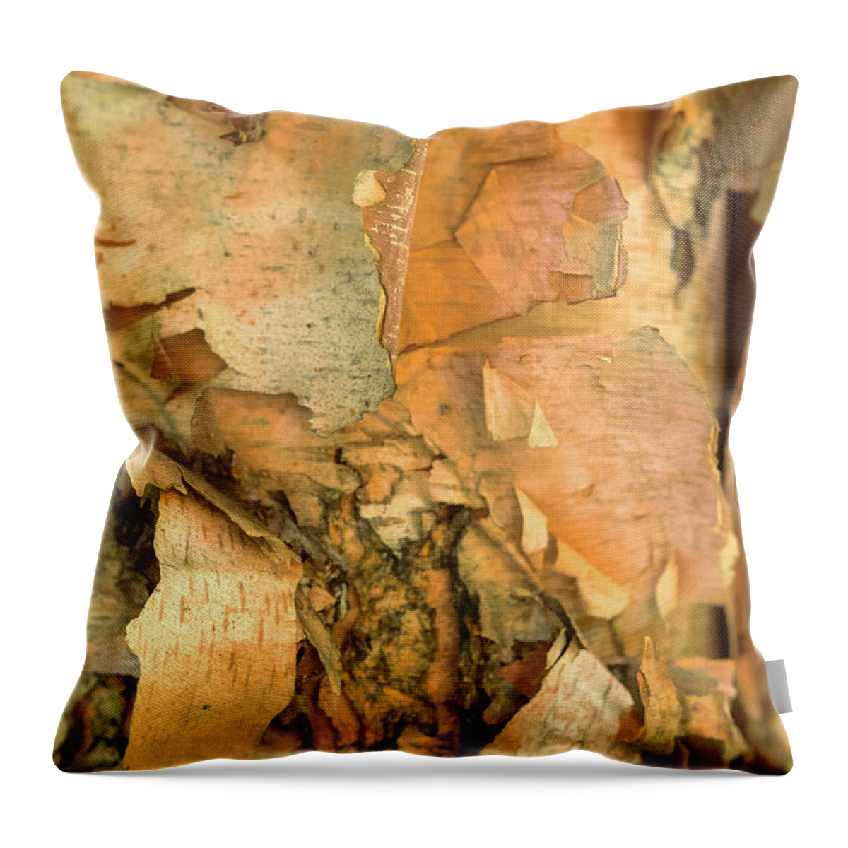 River Birch Tree Throw Pillow featuring the photograph River Birch by Tom Singleton