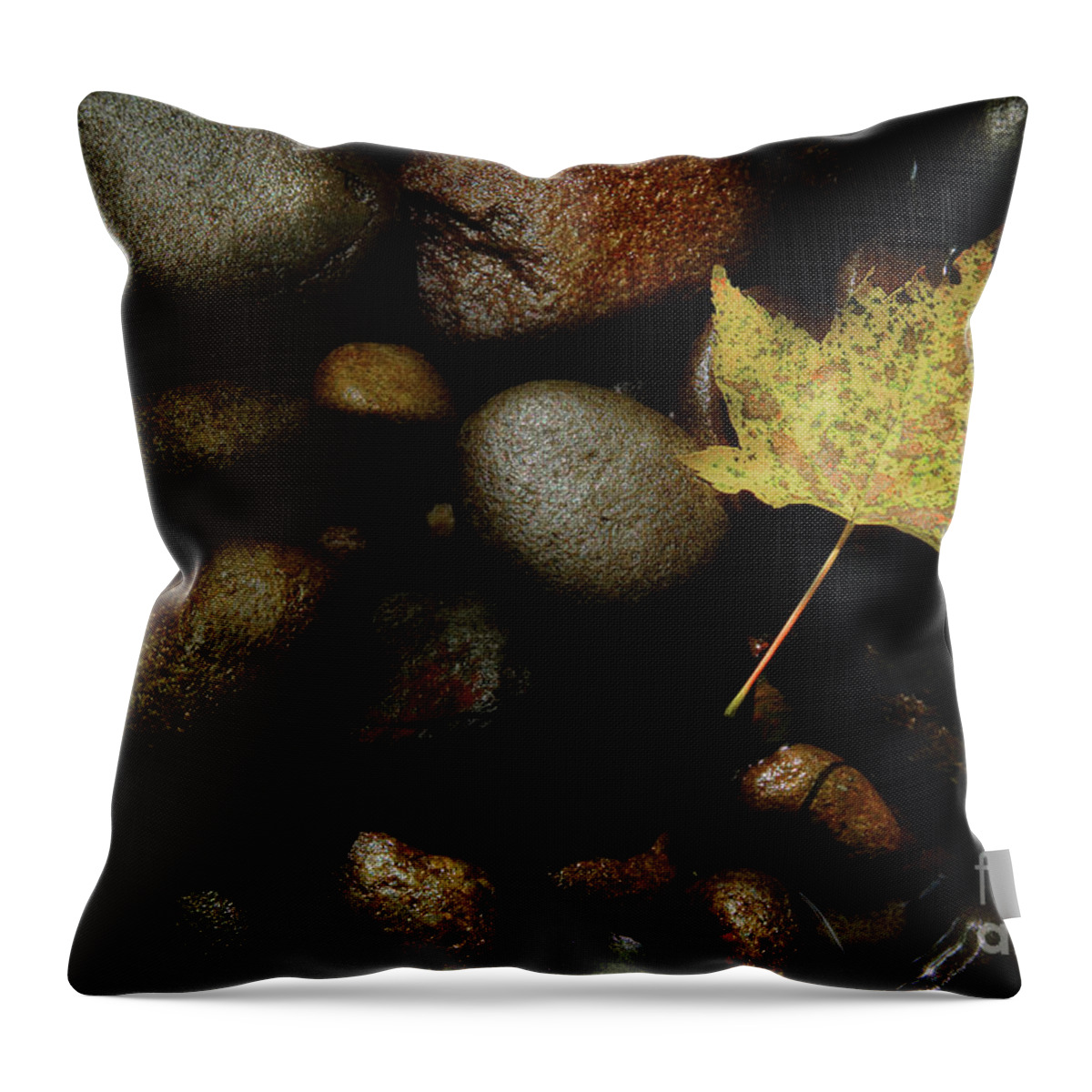 River Rock Throw Pillow featuring the photograph River Bottom by Michael Eingle