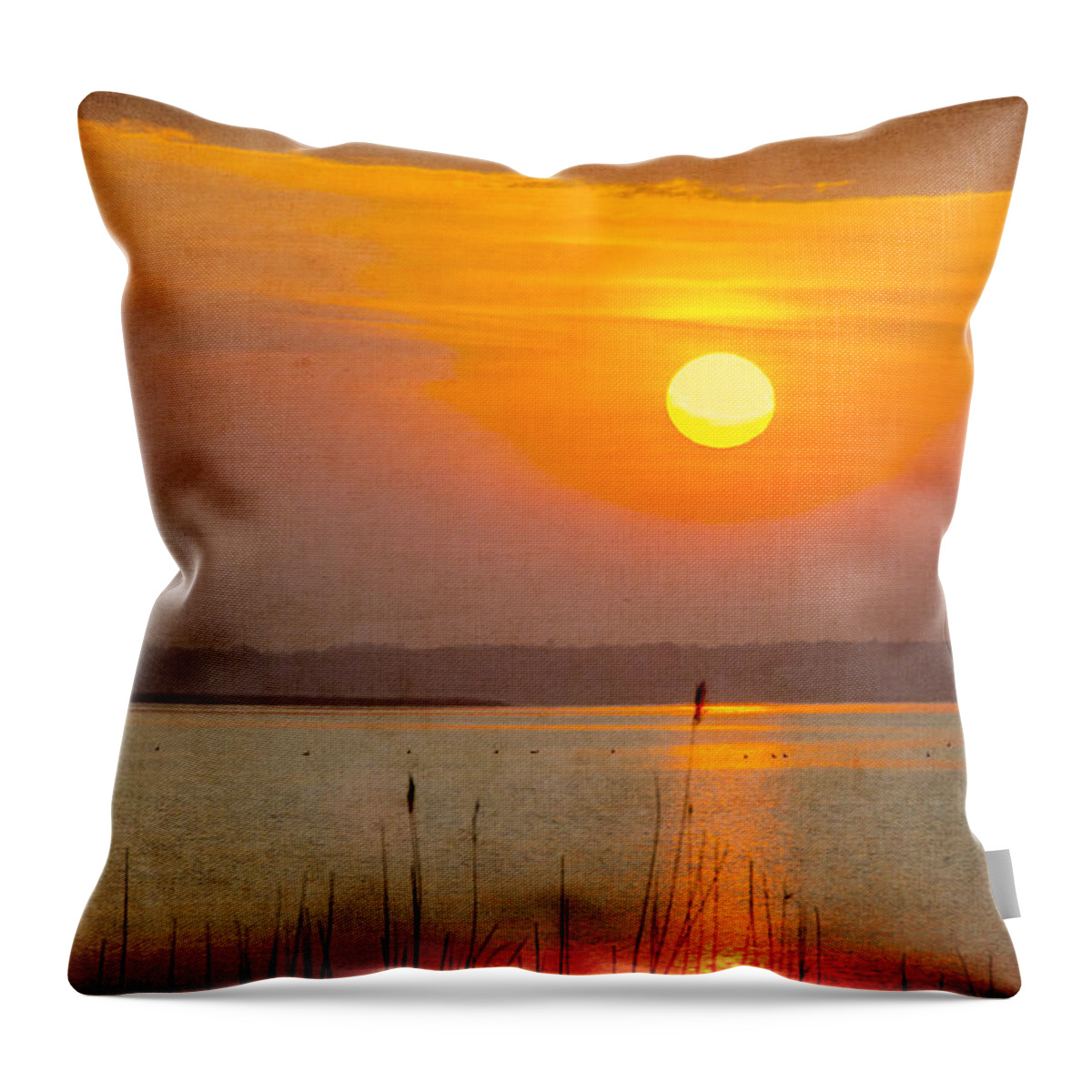 Sunset Throw Pillow featuring the photograph River of Light by Cathy Kovarik