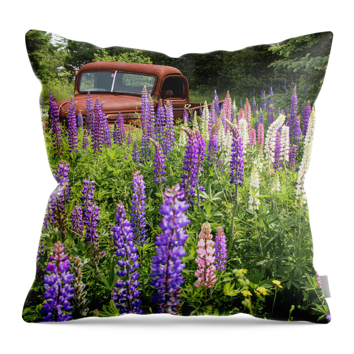 Lupines Throw Pillow featuring the photograph Roadside Attraction by Holly Ross