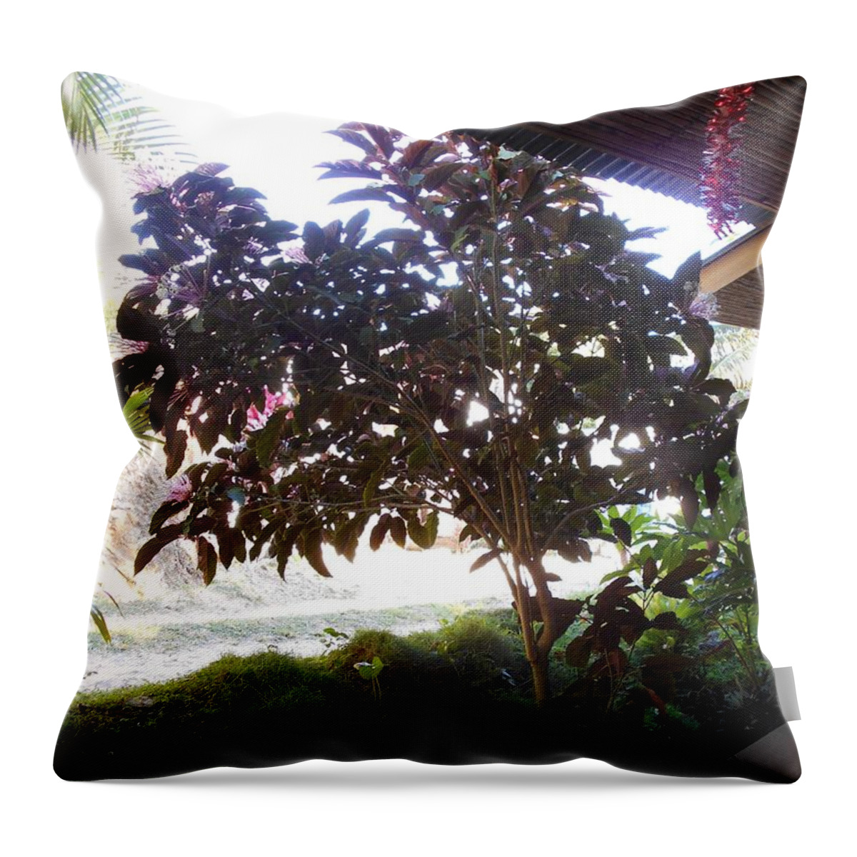 Roatan Throw Pillow featuring the photograph Roatan tree by Nancy Graham