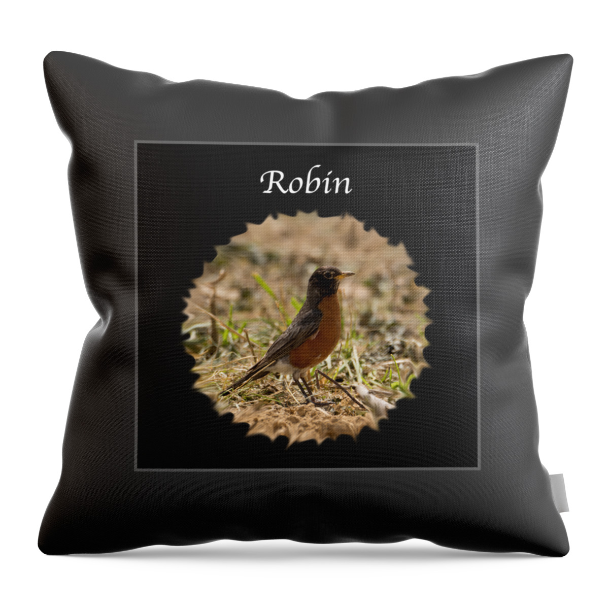 Robin Throw Pillow featuring the photograph Robin by Holden The Moment