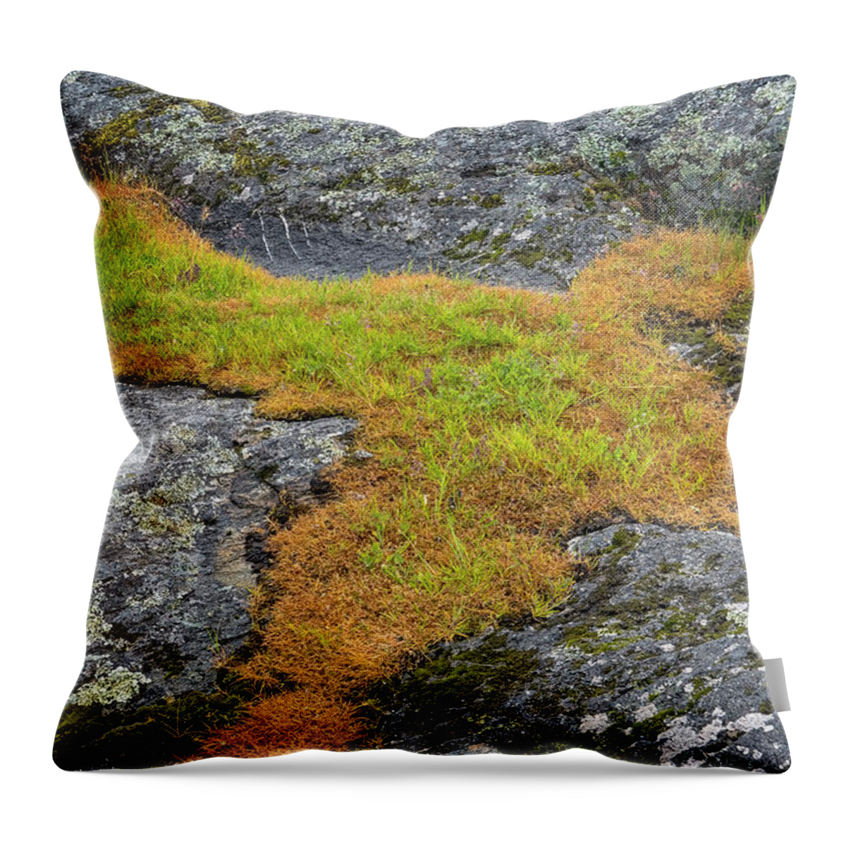 Oregon Coast Throw Pillow featuring the photograph Rock And Grass by Tom Singleton