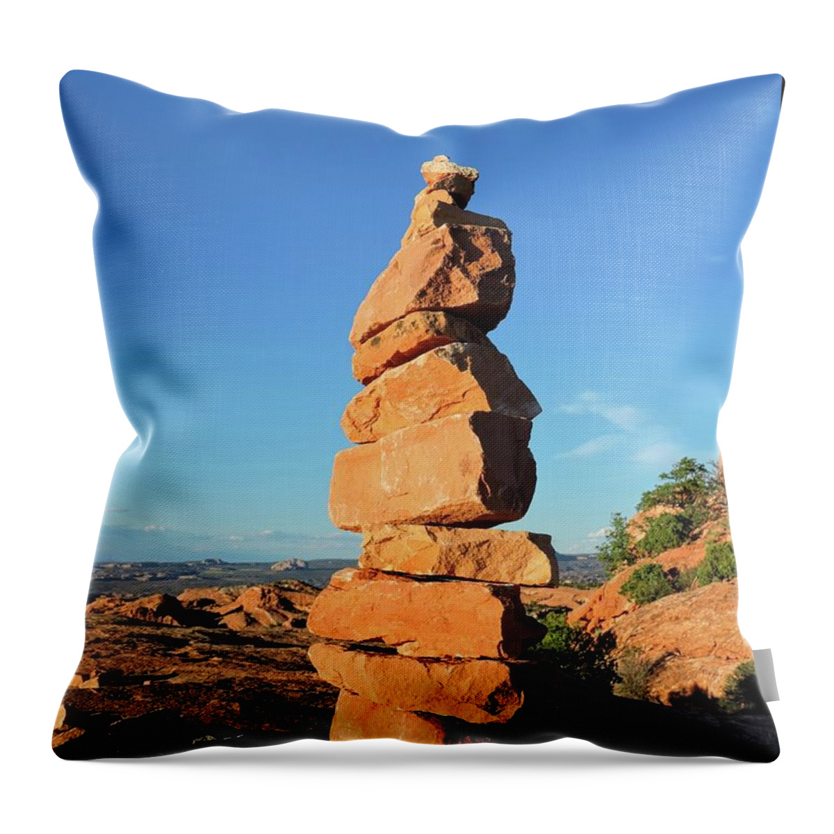 Rock Shaped Pillows
