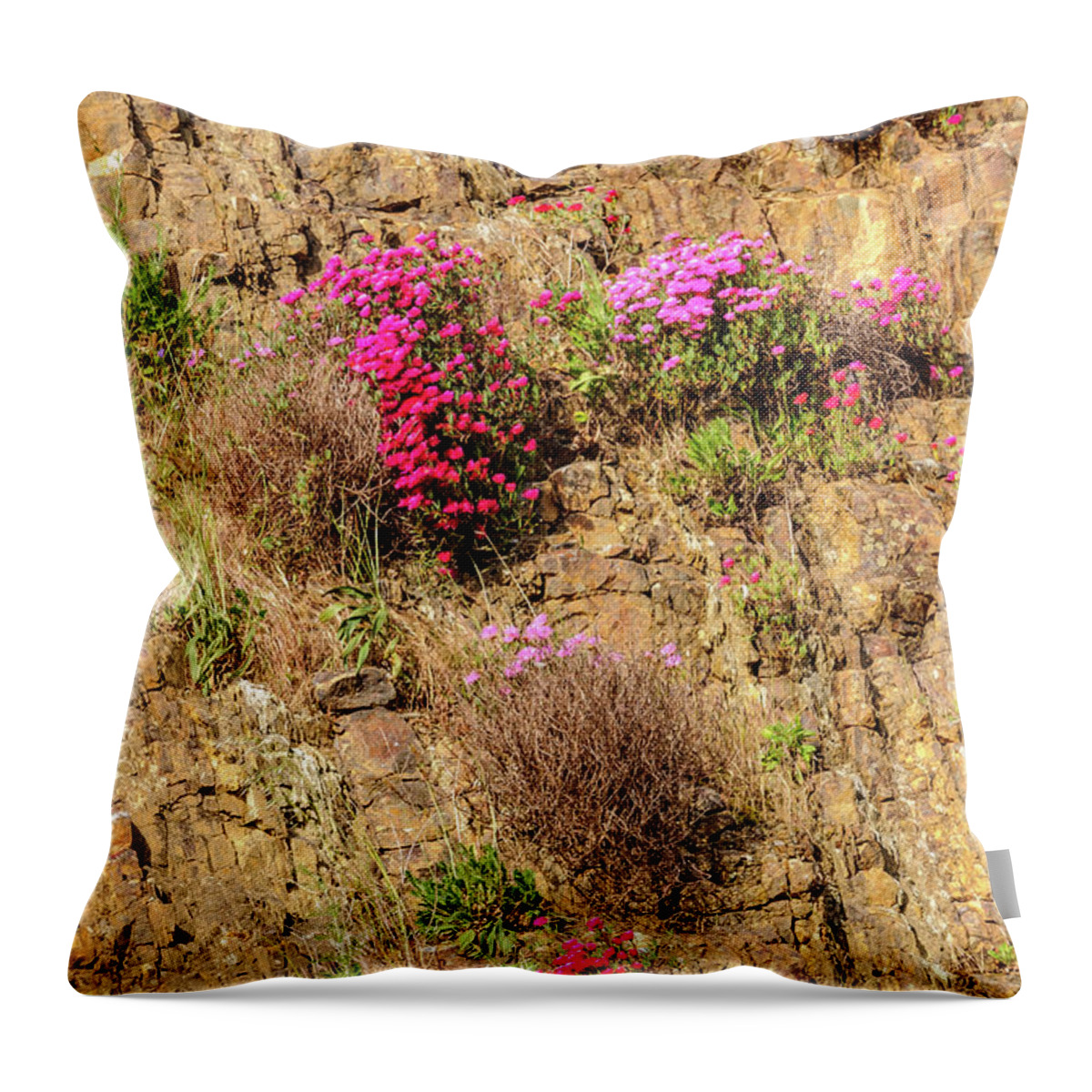 Australia Throw Pillow featuring the photograph Rock Cutting 1 by Werner Padarin