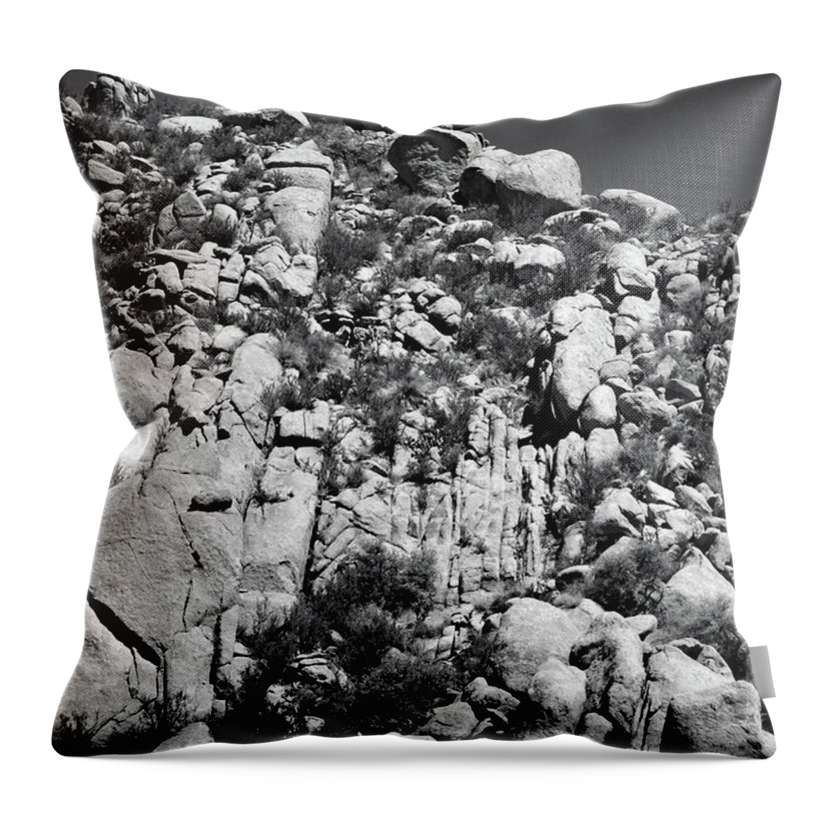 Landscape Throw Pillow featuring the photograph Rock Face Sandia Mountain by Ron Cline